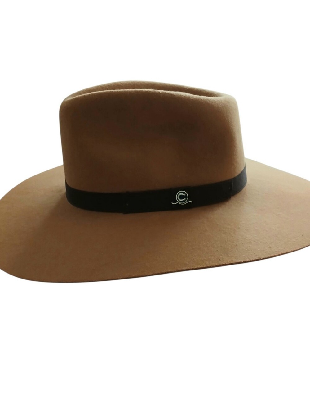 NEW Charlie 1 Horse Highway Jr Wool Felt Western Hat Youth One Size Camel Rodeo